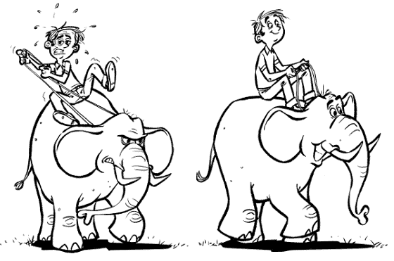 The Rider and the Elephant